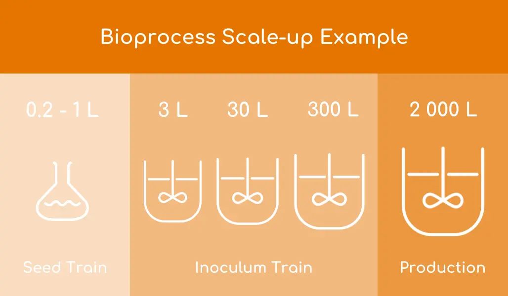 bioprocess-scale-up.png