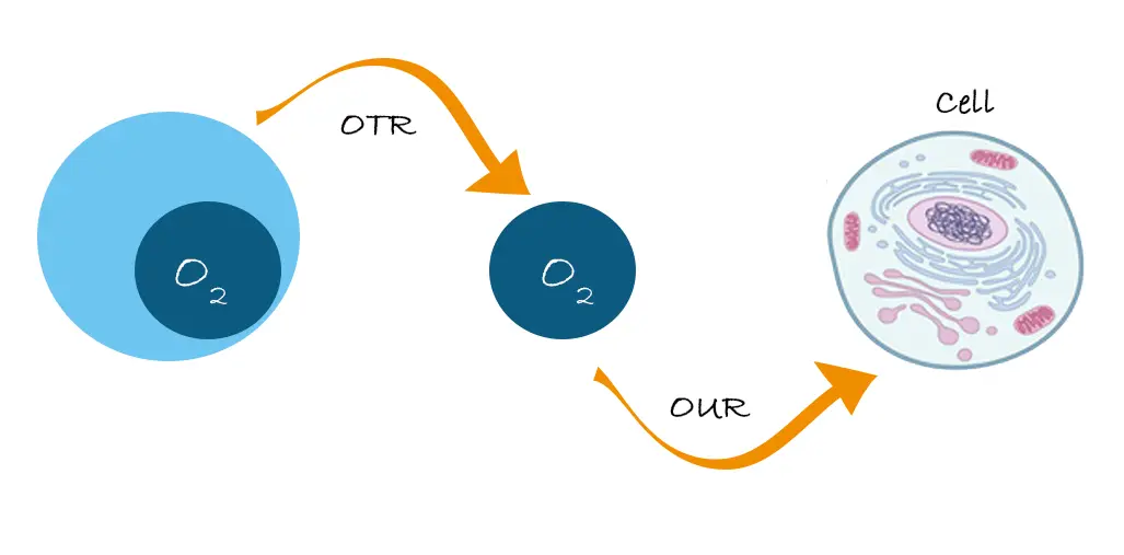 OTR_OUR_CELL.jpg